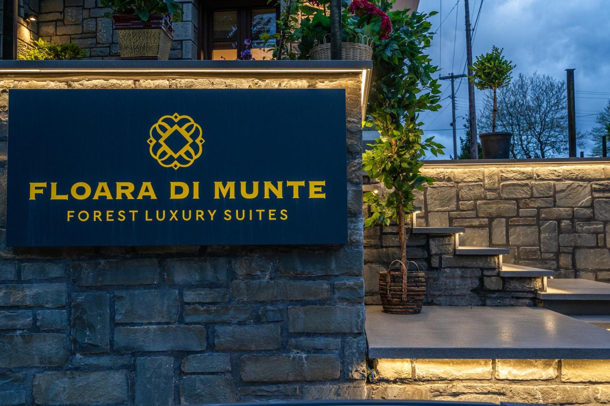 Floara Di Munte Forest Luxury Suites Maçova Dış mekan fotoğraf