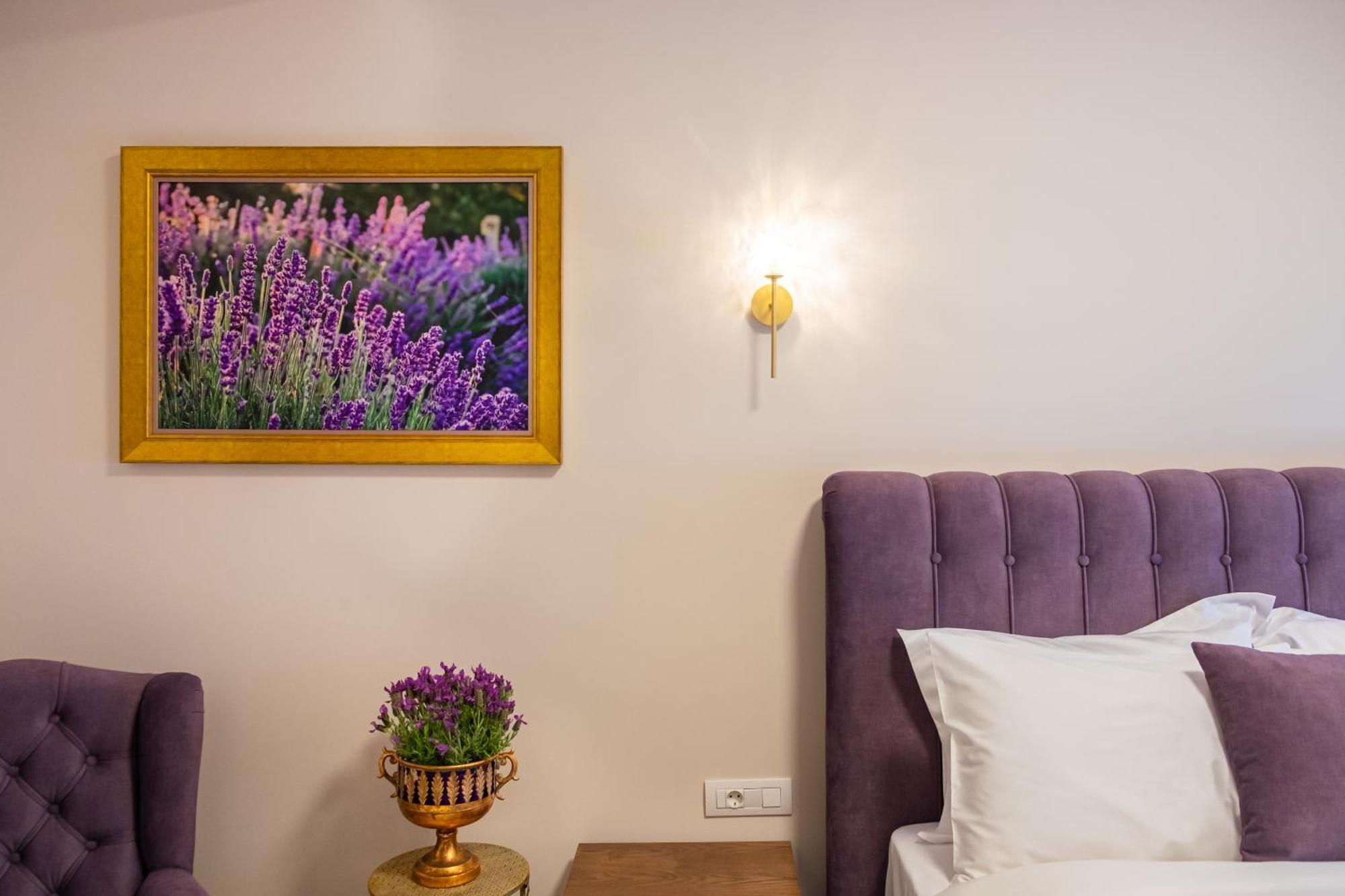 Floara Di Munte Forest Luxury Suites Maçova Dış mekan fotoğraf